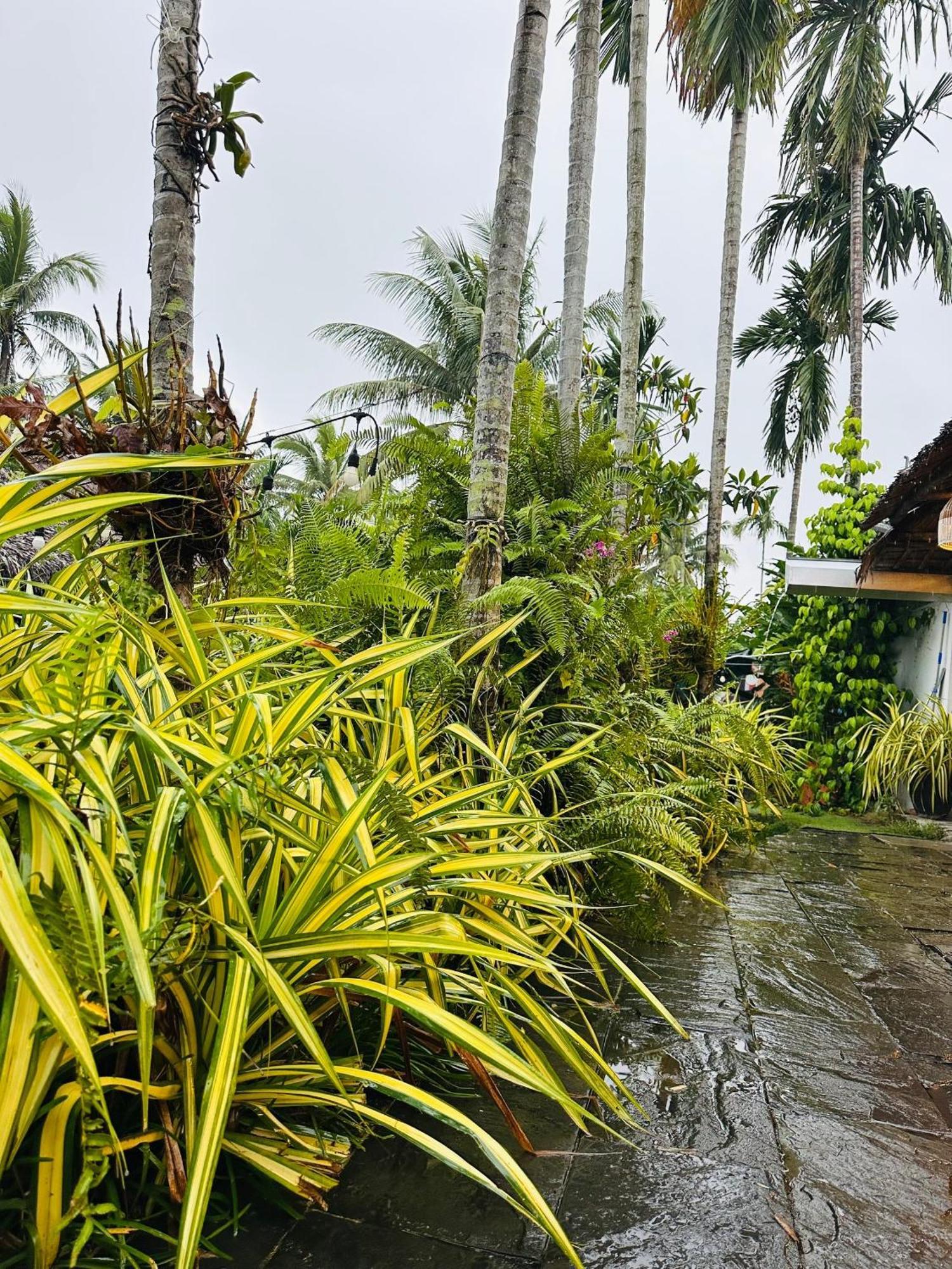 Water Palm Residence Hieu Nhon Екстер'єр фото